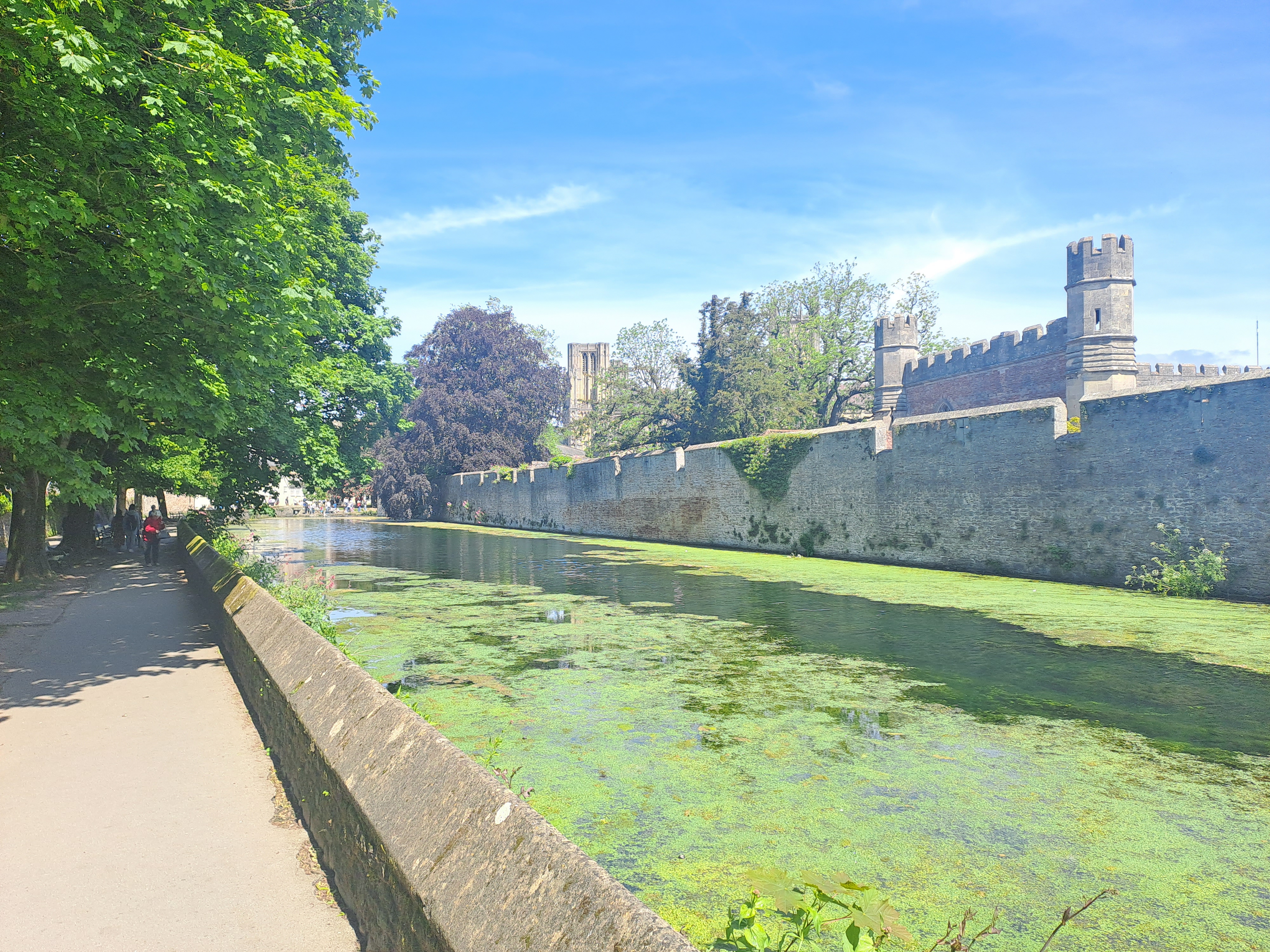 The Bishops Palace in Wells